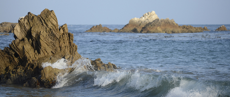 ocean wave with rocks